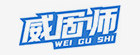 WGS/威固师 电磁阀 4V220-08 DC24V 1个