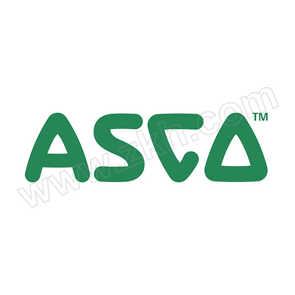 ASCO 电磁脉冲阀维修包 C140745 1套