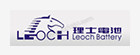LEOCH/理士 铅酸蓄电池 DJW12-2.9AH 1只