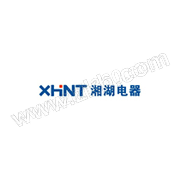 XHNT/湘湖电器 励磁柜电流表 GB7676-98 IEC-51 量程0~400A 1个