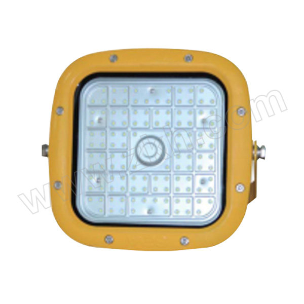 SEVA/深圳尚为 LED巷道灯 DGS80/127L(C) AC127V 5700K±300K 80W 1个