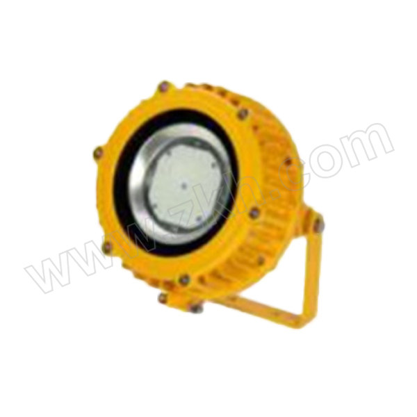 CYGD/创元光电 LED防爆投光灯 CYBT5600-LED70W 2700K φ210×280mm IP66 1个