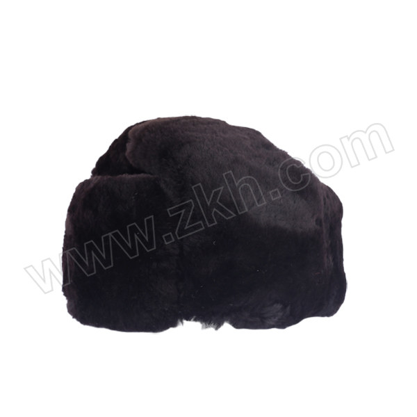 DA/戴安 羊剪绒复合皮革防寒安全帽 DA-F1 安全帽×1 约590g 1顶