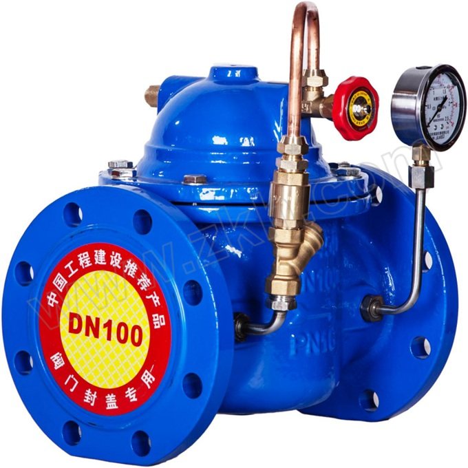 BIAOGUANG/标光 球墨铸铁缓闭止回阀 300X-16Q-DN200 PN16 法兰连接接口 球墨铸铁阀体 1台