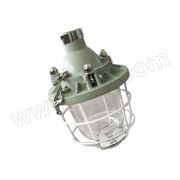 SHLMEX/新黎明 隔爆型防爆灯 BCD-125/200 E27 不含光源 1个