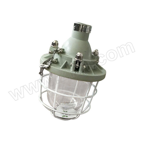SHLMEX/新黎明 隔爆型防爆灯 BCD-125/200 E27 不含光源 1个