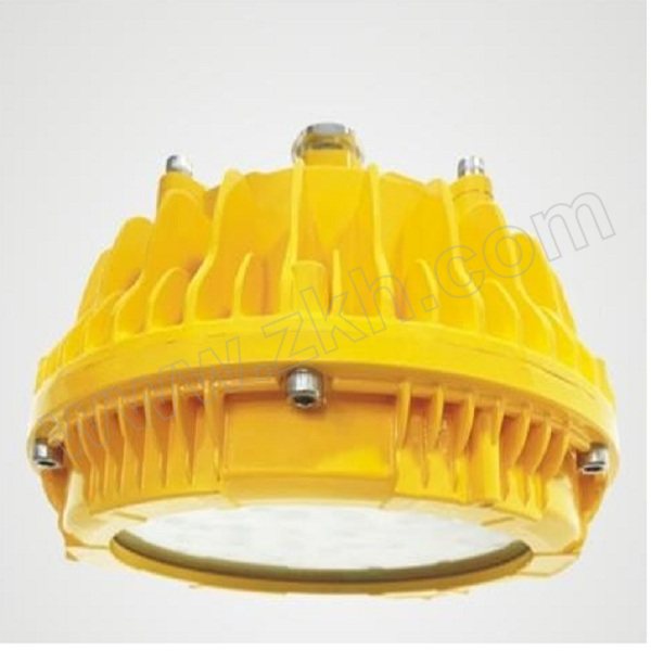 SINOMARC/中跃 LED防爆泛光灯 ZY8111 60W 1套