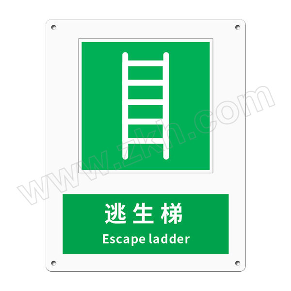 LEEONSTORE/利安斯盾 应急标识(逃生梯 Escape ladder) 1120614 ABS塑料工程料板 厚1mm 250×315mm 1个