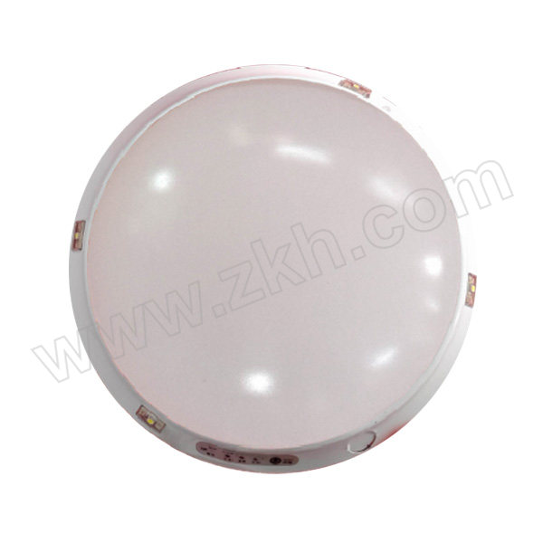 NVC/雷士 LED应急吸顶灯 LS-ZFZD-E3WX 3W 吸顶式 1个