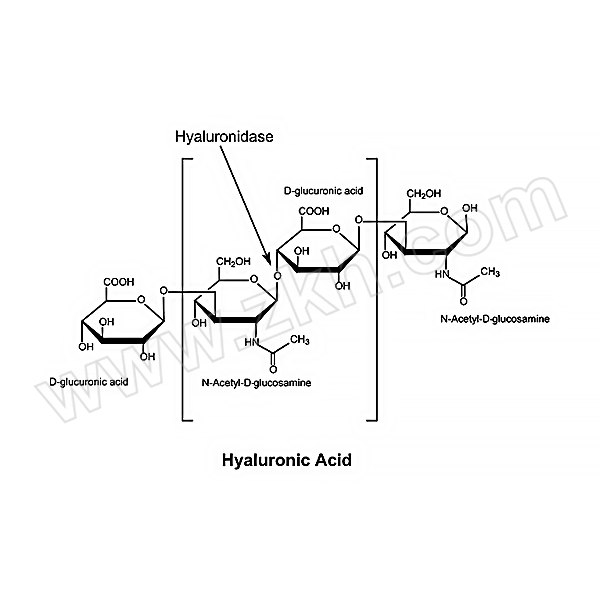 ALADDIN/阿拉丁 透明质酸酶 H141272-10mg CAS号37259-53-3 ≥ 300 IU/mg,来源于牛睾丸 1瓶