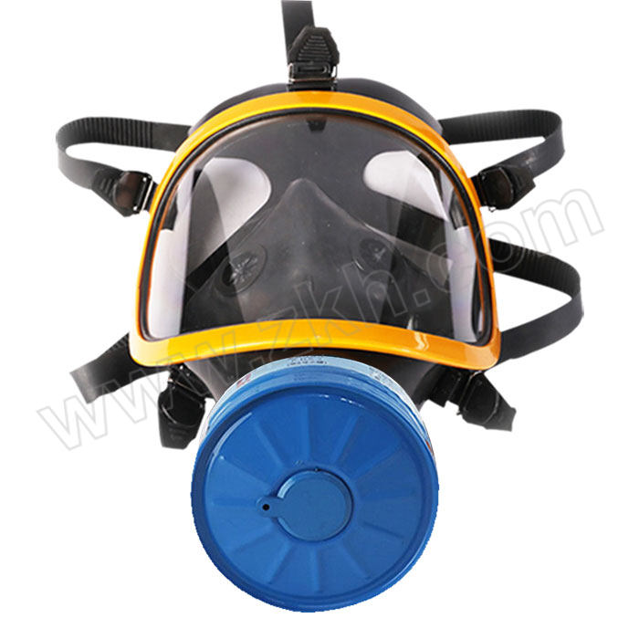 PUDA/普达 呼吸防护面具套装 MJ-4002套装5(二级过滤件) 含面具×1+P-H2S-2滤毒罐×1 防护防护硫化氢 1套