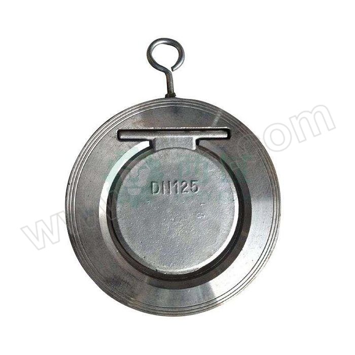 BIAOGUANG/标光 不锈钢对夹式蝶形止回阀 H74W-16P-DN250 PN16 对夹式 304不锈钢阀体 1个