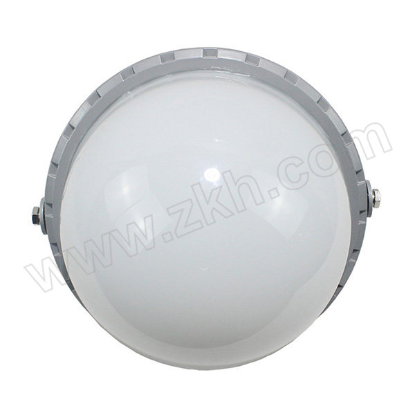 DADIZHAOMING/大地 LED平台灯 NFC9280P-70W 白光 1套