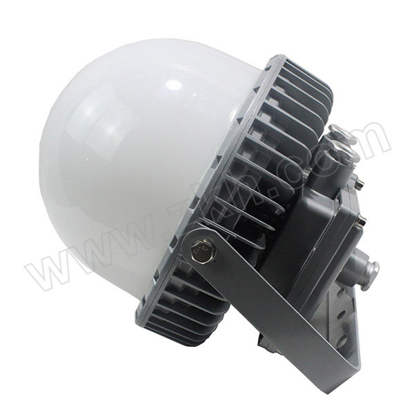 DADIZHAOMING/大地 LED平台灯 NFC9280P-70W 白光 1套