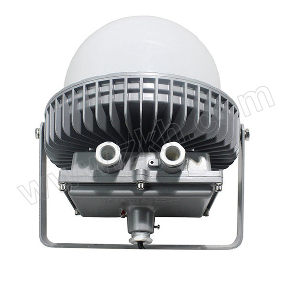 DADIZHAOMING/大地 LED平台灯 NFC9280P-70W 白光 1套