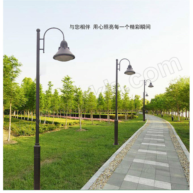 LONGDAI/龙代 LED庭院户外防水小区花园别墅景观灯 XSTY-10621 高杆路灯 3.5m高 50W 1个