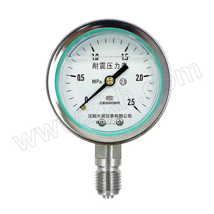 DACHENG/大成仪表 耐震压力表 YN-60 0~2.5MPa/M14×1.5/等级2.5级/材质不锈钢 1块