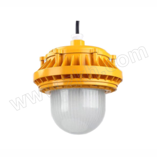 SINSRAY/永鑫瑞 LED防爆泛光灯 LED-RY-DFG-70W-B-HS 1套