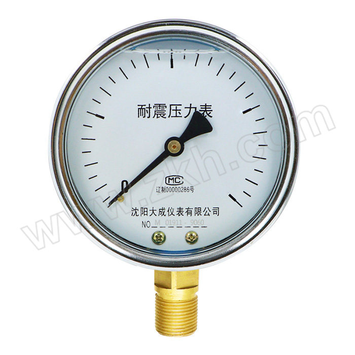 DACHENG/大成仪表 普通耐震压力表 YTN-100 量程0~2.5MPa 1.6级/M20×1.5/铁壳铜接头 1块