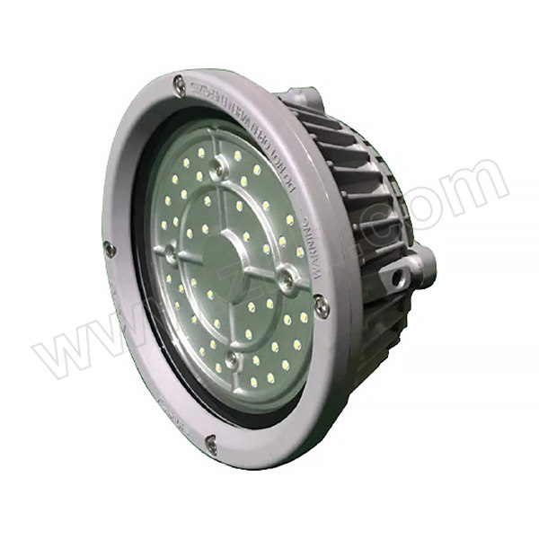 SEVA/深圳尚为 LED工作灯 SZSW7135-30F 5700K LED 30W 220V 1个