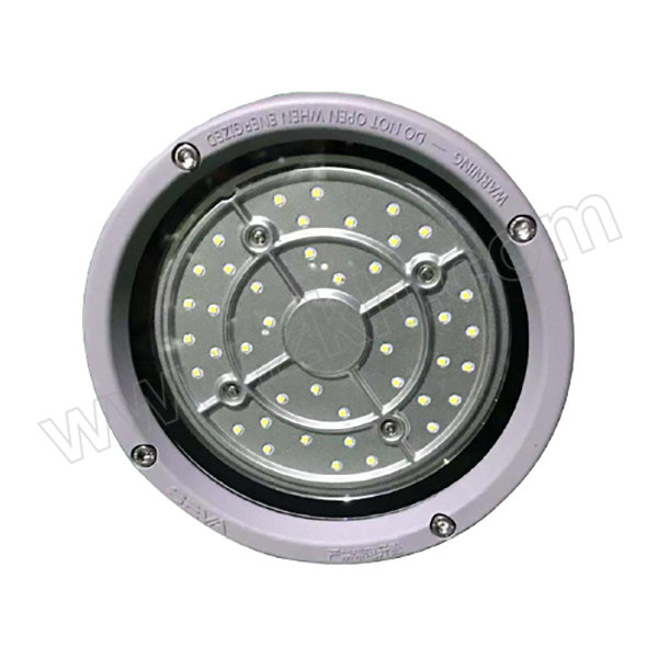 SEVA/深圳尚为 LED工作灯 SZSW7135-30F 5700K LED 30W 220V 1个