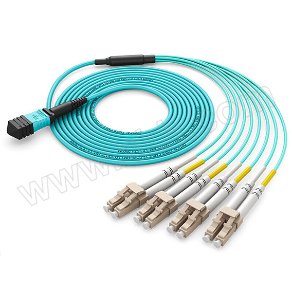 HAILE/海乐 MPO-MPO/LC多模万兆OM3光纤线 MPO-MT12-LC-30M 1条