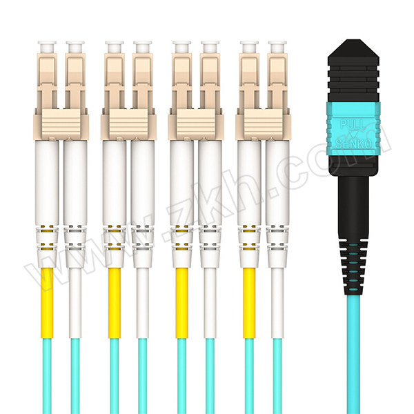 HAILE/海乐 MPO-MPO/LC多模万兆OM3光纤线 MPO-MT12-LC-30M 1条