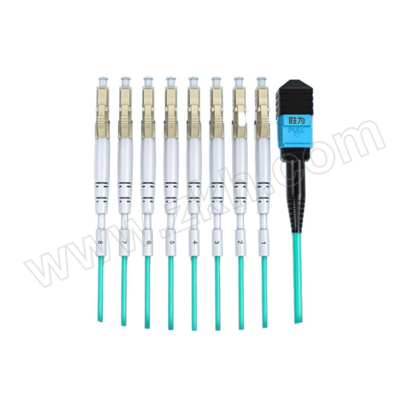 SHENGWEI/胜为 光纤跳线 FMPL-1203 MPO-LC多模12芯OM4 40G 3m 1根