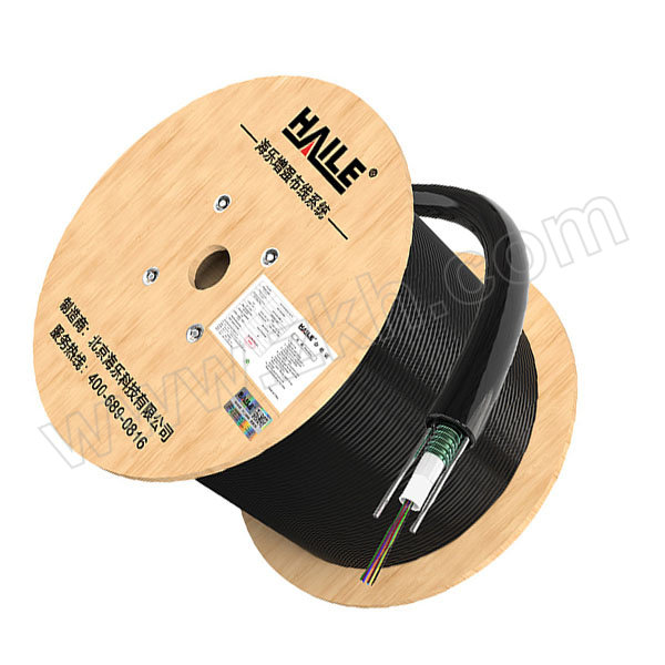 HAILE/海乐 单模室外铠装光缆 HT210-12S 中心束管式GYXTW-12b1.3 1米