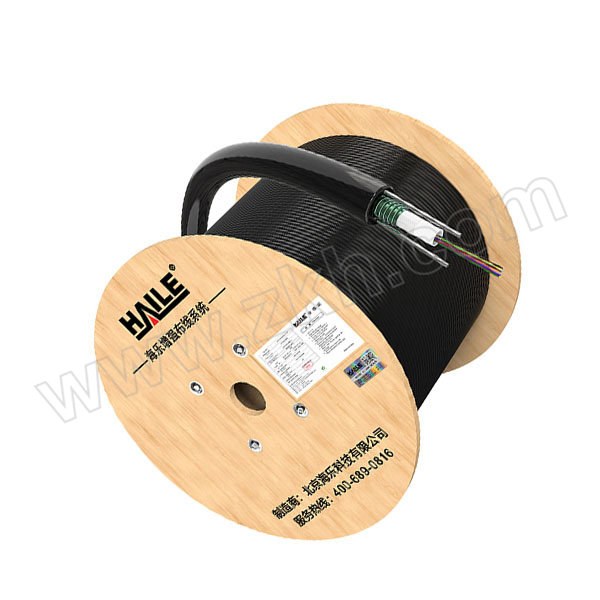 HAILE/海乐 单模室外铠装光缆 HT210-12S 中心束管式GYXTW-12b1.3 1米