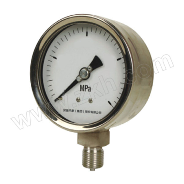 TK/安徽天康 不锈钢压力表(304+304) YB-60/0~1MPa/M14×1.5/2.5级/径向不带边 表盘直径60mm 1只