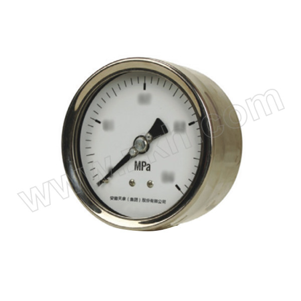 TK/安徽天康 不锈钢压力表(316+316) YB-60Z/0~25MPa/1/4NPT/2.5级/轴向不带边 表盘直径60mm 1只
