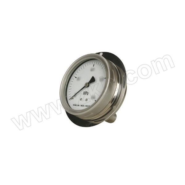 TK/安徽天康 不锈钢压力表(316+316) YB-100ZT/-0.1~0MPa/1/2NPT/1.6级/轴向带前边 表盘直径100mm 1只