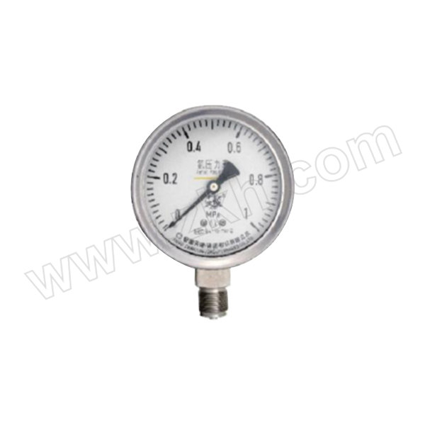 TK/安徽天康 氨用不锈钢压力表(304+316) YA-100T/0~2.5MPa/G1/4/1.6级/径向带后边 表盘直径100mm 1只