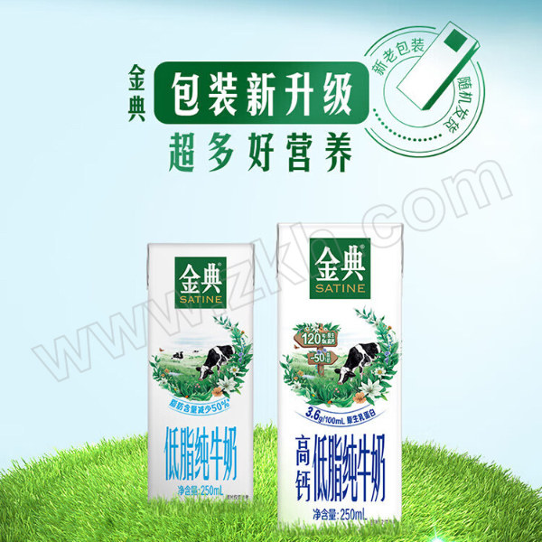 YILI/伊利 金典高钙低脂纯牛奶 6907992513157 250mL×12盒 1箱
