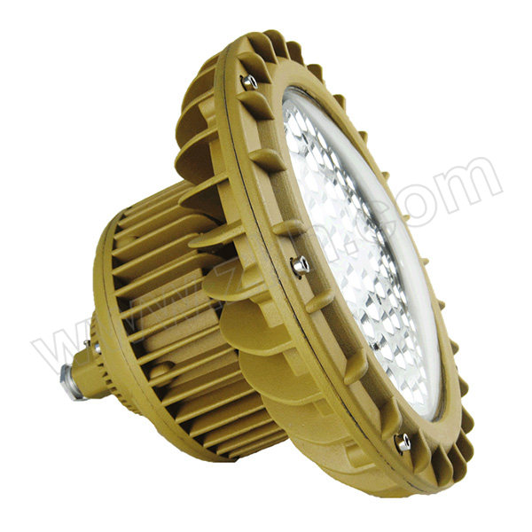 LEIFA/雷发 LED照明灯 LFB100 100W 5000K 1个