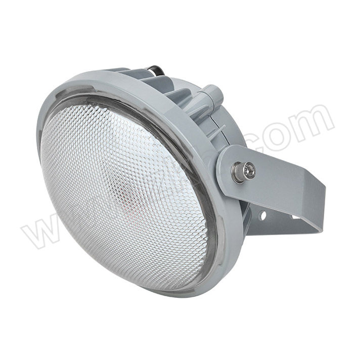 TORMIN/通明电器 LED防爆灯 BC9313S-L50 50W 1套