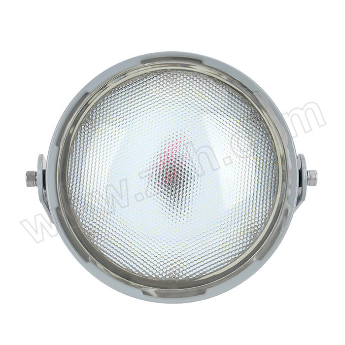 TORMIN/通明电器 LED防爆灯 BC9313S-L50 50W 1套