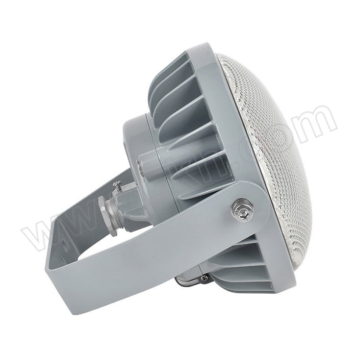 TORMIN/通明电器 LED防爆灯 BC9313S-L50 50W 1套