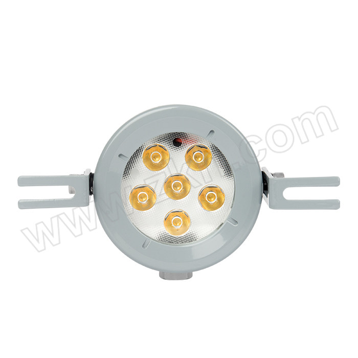 TORMIN/通明电器 LED防爆视孔灯 BC9502-L20 20W 1套