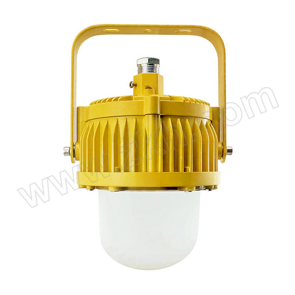 QICHEN/奇辰 LED防爆照明灯 QC-FB001-A-I/L60W 60W 1套