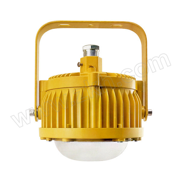 QICHEN/奇辰 LED防爆照明灯(防眩光灯罩) QC-FB001-A-IV/L30W 30W 1套