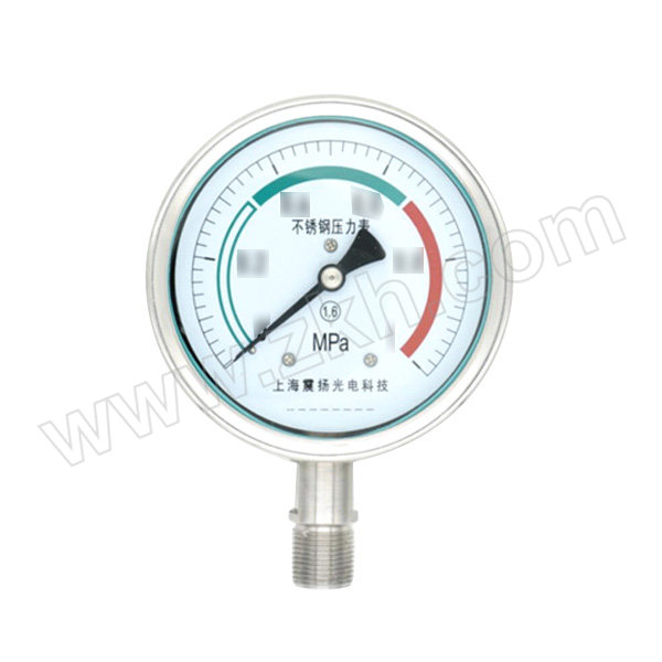 HAM/汉木 全不锈钢压力表 Y60T/BF-60mm-径向带后边-不耐震-304外壳+304接头 过程连接G1/4 量程0~2.5MPa 1只