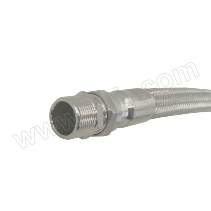 CNZAM/卓安照明 BNG系列防爆挠性连接管 BNG-II-25×1000A 1000mm G1 两内 304不锈钢 1条