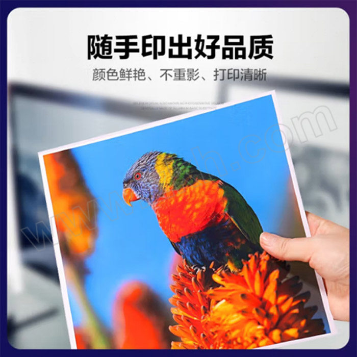 C&G/彩格 升级版硒鼓(带芯片) PLUS CF500A 黑色 适用惠普HP/m254dn/m254dw/m254nw/m280nw/m281cdw/m281fdn/m281fdw 1支