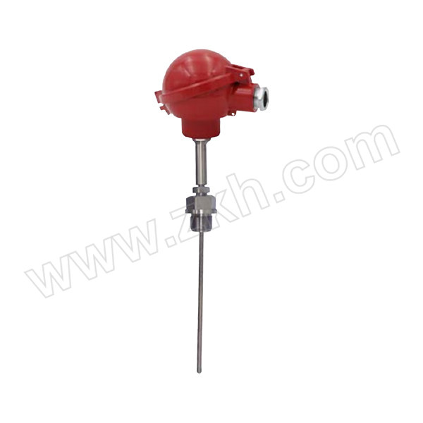 WINTERS 铠装热电阻 TER-D-BS-S-0-13-B-50-150-6-S-1-4N-1-xps0 量程0~200℃ PT100 A级 4~20mA φ6mm 50mm延长颈 探杆材质316SS 1/4"NPT 陶瓷端子 不带现场显示 探杆长150mm 1只