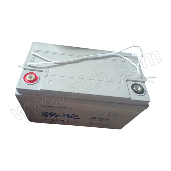 CAMEL/骆驼电池 新能源铅酸蓄电池 6-GFM-111 12V 100Ah 330×171×213mm 2年质保 1节