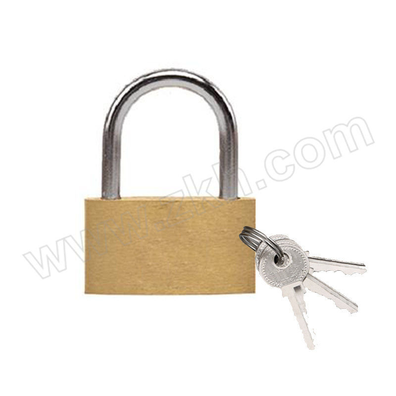 SS/苏识 黄铜小挂锁 S-SS002 黄色 锁钩净高12mm 单开 含钥匙×3 1把