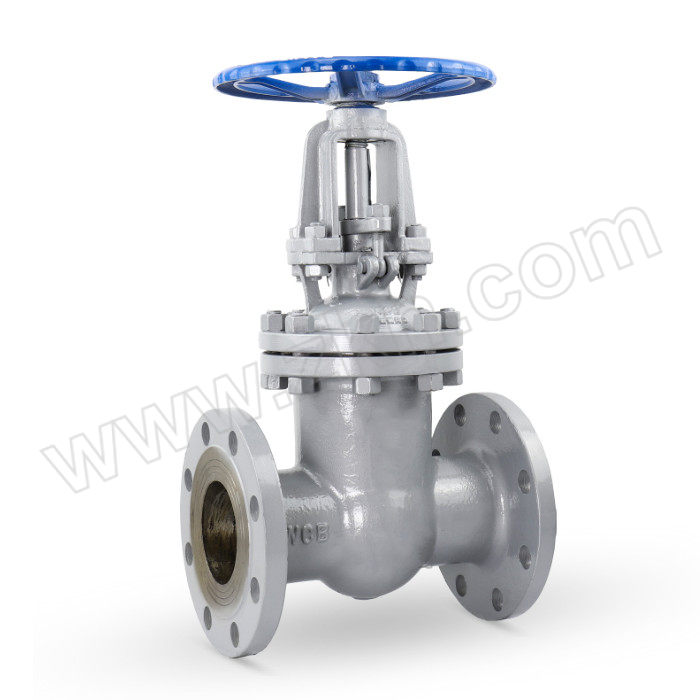 FLYFLOW/福莱福流 精铸重型闸阀 Z41H-25C-DN20 法兰连接接口 WCB碳钢阀体 公称压力25bar 1个