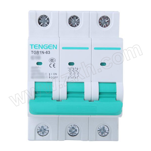 TENGEN/天正 TGB1N(祥云3.0)系列小型断路器 TGB1N-63 3P D40(祥云3.0) D型脱扣 额定电流40A 1个